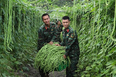 View - 	Ngành Hậu cần-Kỹ thuật Quân đoàn 4 hướng tới kỷ niệm 50 năm thành lập